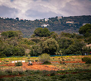 CFMoto Thunder RT fini&scaron;avo Portugalijos ralyje