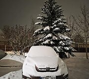 Apsnigti automobiliai Vilniuje