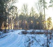&bdquo;Biorina Winter Rally Roki&scaron;kis 2026&ldquo; greičio ruožų vaizdai