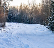&bdquo;Biorina Winter Rally Roki&scaron;kis 2026&ldquo; greičio ruožų vaizdai
