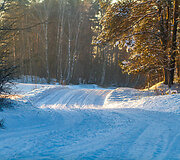 &bdquo;Biorina Winter Rally Roki&scaron;kis 2026&ldquo; greičio ruožų vaizdai