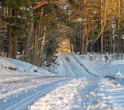 &bdquo;Biorina Winter Rally Roki&scaron;kis 2026&ldquo; greičio ruožų vaizdai