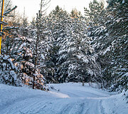 &bdquo;Biorina Winter Rally Roki&scaron;kis 2026&ldquo; greičio ruožų vaizdai
