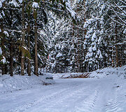 &bdquo;Biorina Winter Rally Roki&scaron;kis 2026&ldquo; greičio ruožų vaizdai
