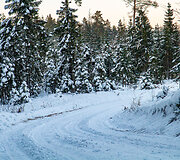 &bdquo;Biorina Winter Rally Roki&scaron;kis 2026&ldquo; greičio ruožų vaizdai