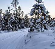 &bdquo;Biorina Winter Rally Roki&scaron;kis 2026&ldquo; greičio ruožų vaizdai