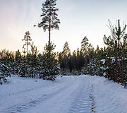 &bdquo;Biorina Winter Rally Roki&scaron;kis 2026&ldquo; greičio ruožų vaizdai