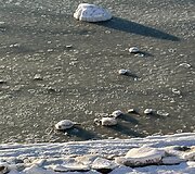 Karklė ir Olando kepurė, padengta ledu