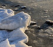 Karklė ir Olando kepurė, padengta ledu