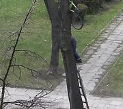 Dviratis medyje Vilniuje, Kalvarijų gatvėje