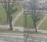 Dviratis medyje Vilniuje, Kalvarijų gatvėje