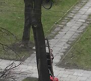 Dviratis medyje Vilniuje, Kalvarijų gatvėje