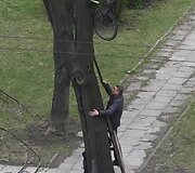 Dviratis medyje Vilniuje, Kalvarijų gatvėje