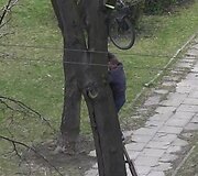 Dviratis medyje Vilniuje, Kalvarijų gatvėje