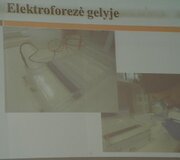 Vilniaus Pilaitės gimnazijoje praūžė gamtos mokslų konferencija