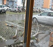 Antradienio audra Vilniuje: beržas prie Žygio g. 97 apgadino ma&scaron;iną: stogą, &scaron;oninį ir galinį stiklus.