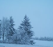 Žiema Lazdijų rajone
