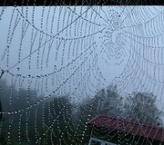 Žiema, karoliukų vėrinys... (Renės Mekienės nuotr.)