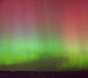 &Scaron;iaurės pa&scaron;vaistė  Elektrėnuose 2015 m. kovo 17 d. 