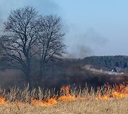 Gaisras &scaron;alia automagistralės Vilnius-Kaunas, ties &bdquo;Tvirtovės&ldquo; užeiga 2015 m. kovo 18 d. 
