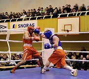 Dano Pozniako bokso turnyras