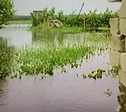 Potvynis Elektrėnų savivaldybėje