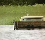 Potvynis Elektrėnų savivaldybėje