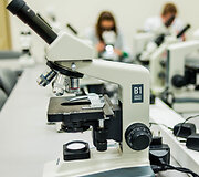 VDU Gamtos mokslų fakulteto laboratorijos