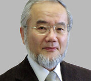Už autofagijos mechanizmų atradimus Nobelio medicinos premija skirta japonui Yoshinori Ohsumi