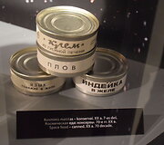 Parodos &bdquo;Kosmosas &ndash; naujos eros pradžia&ldquo;  eksponatai