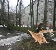 Audra Klaipėdoje