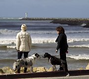 Kalifornijos pakrantė deramai sutiko cunamį