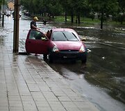 Birželio liūtis &Scaron;iauliuose