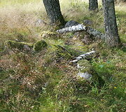 Ėgli&scaron;kių (Andulių) piliakalnis ir jo apylinkės, niokojamos keturračių