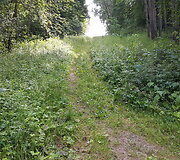 Ėgli&scaron;kių (Andulių) piliakalnis ir jo apylinkės, niokojamos keturračių