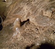 Demanovo slėnio stalagmitų ir stalaktitų Laisvės urvas