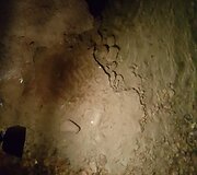 Demanovo slėnio stalagmitų ir stalaktitų Laisvės urvas
