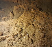 Demanovo slėnio stalagmitų ir stalaktitų Laisvės urvas