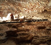 Demanovo slėnio stalagmitų ir stalaktitų Laisvės urvas