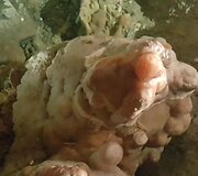 Demanovo slėnio stalagmitų ir stalaktitų Laisvės urvas