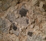 Demanovo slėnio stalagmitų ir stalaktitų Laisvės urvas