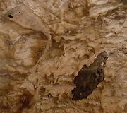 Demanovo slėnio stalagmitų ir stalaktitų Laisvės urvas
