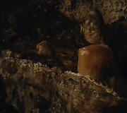 Demanovo slėnio stalagmitų ir stalaktitų Laisvės urvas