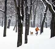 Parkas Berlyne