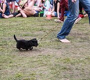 Festivalio &bdquo;Galapagai&ldquo; akimirka