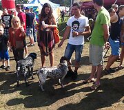 Festivalio &bdquo;Galapagai&ldquo; akimirka