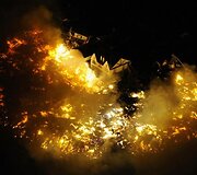 &Scaron;alia Sendajaus oro uosto kilo milžini&scaron;ki gaisrai.