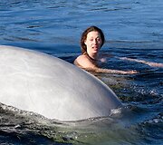Natalijos Avsejenko pasiplaukiojimas su baltaisiais delfinais