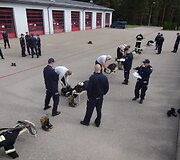 Geriausio ugniagesio konkursas