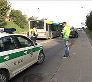 Ukmergės g. į kelią i&scaron;bėgo stirna